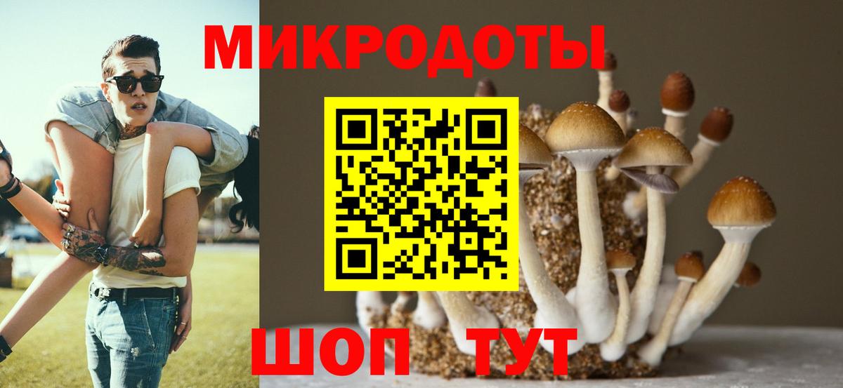 Псилоцибиновые грибы мицелий Минеральные Воды